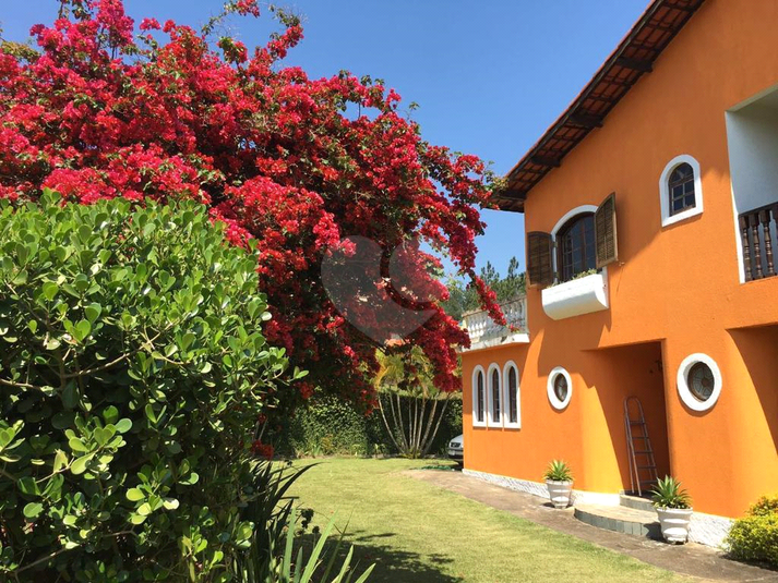 Foto REO1087937