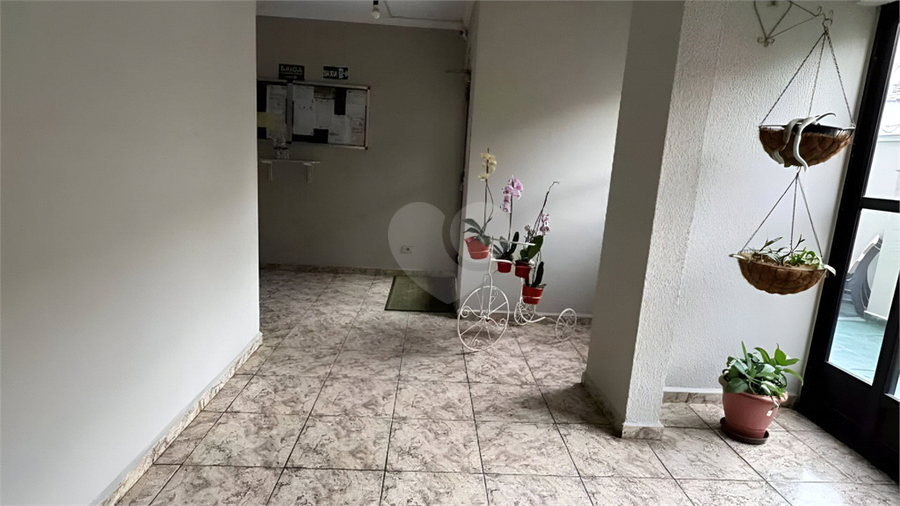Foto REO1087946