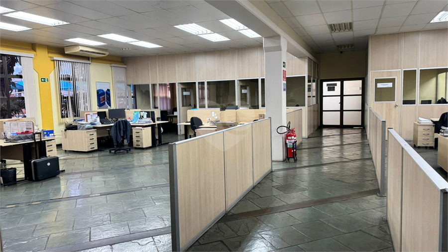 Foto REO1087954