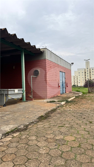 Foto REO1087954