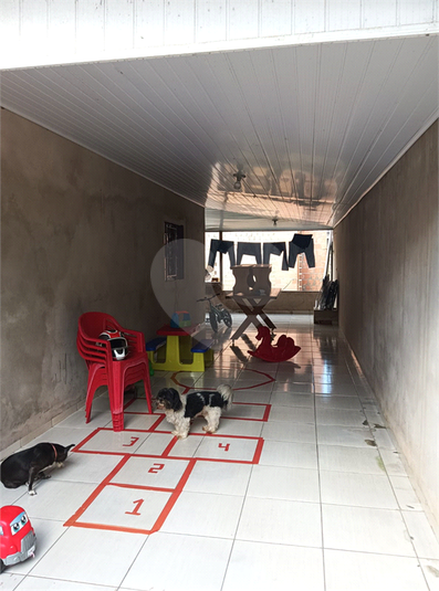 Foto REO1087959