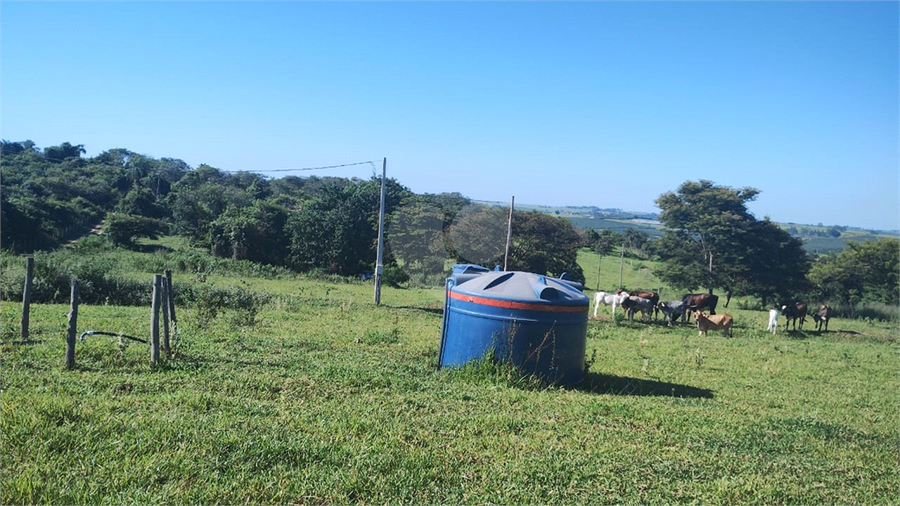 Foto REO1087960