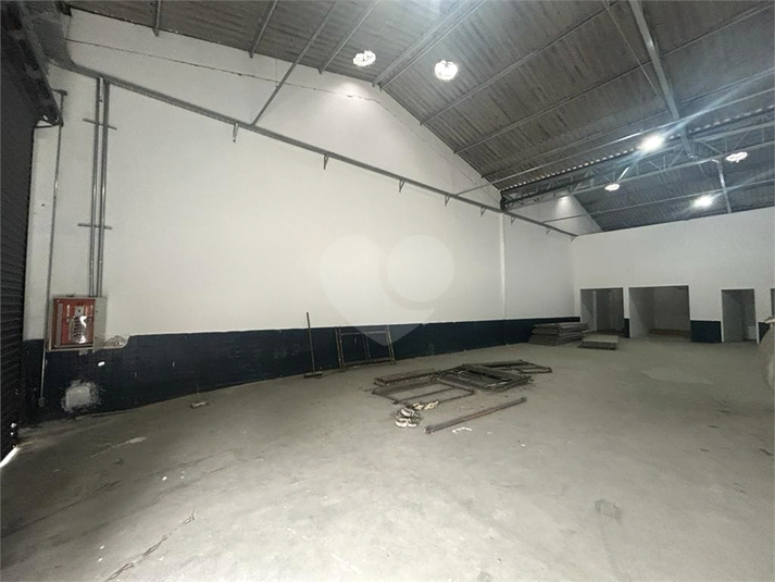 Foto REO1087963