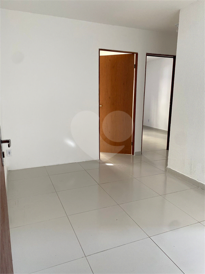 Foto REO1087967