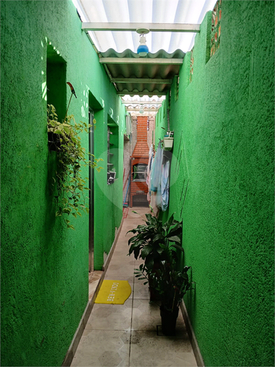 Foto REO1087968
