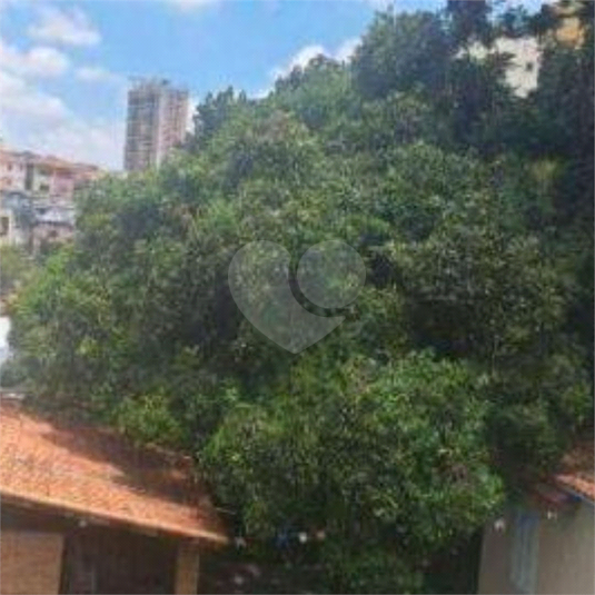 Foto REO1087972