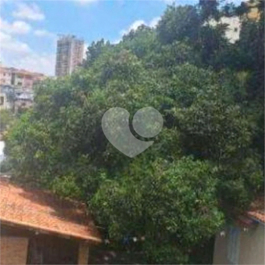 Foto REO1087972