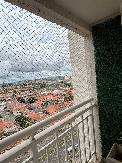 Foto REO1087986