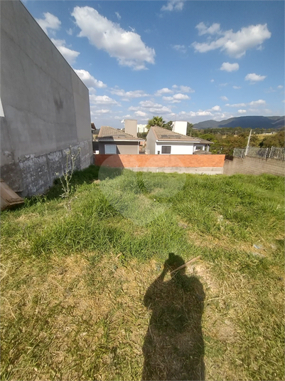 Foto REO1087988