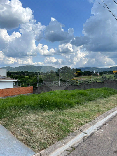 Foto REO1087988