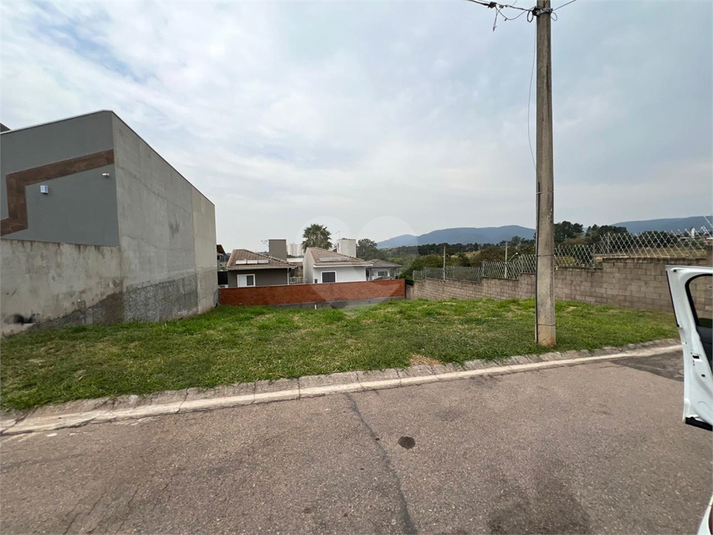 Foto REO1087988