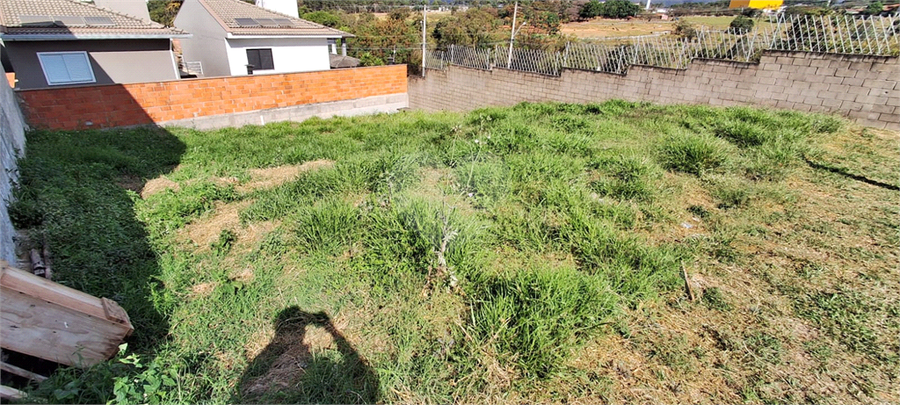 Foto REO1087988