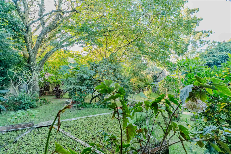 Foto REO1088008