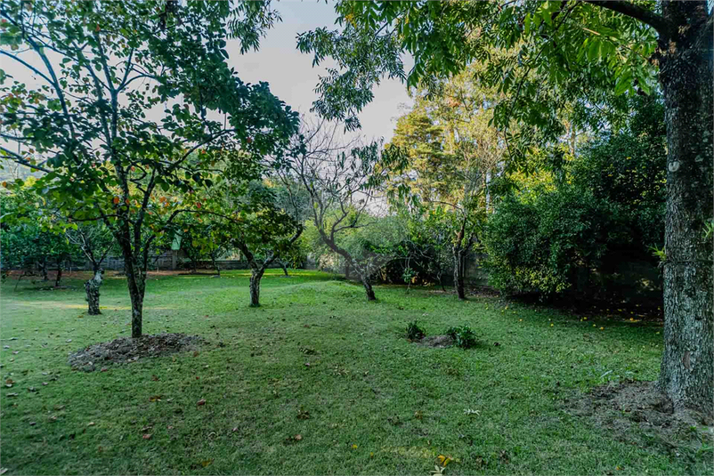 Foto REO1088008