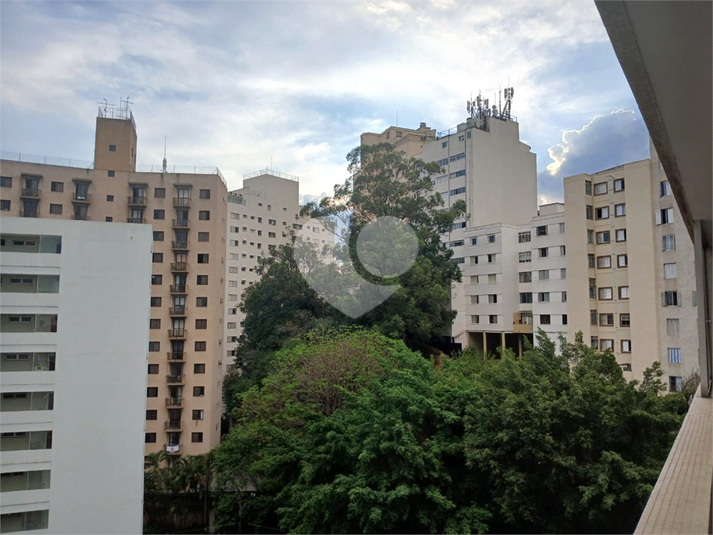 Foto REO1088023