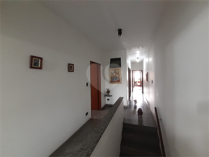Foto REO1088041