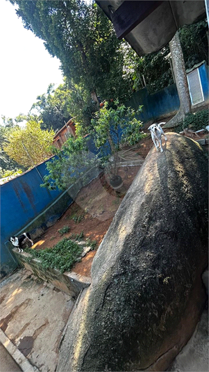 Foto REO1088051
