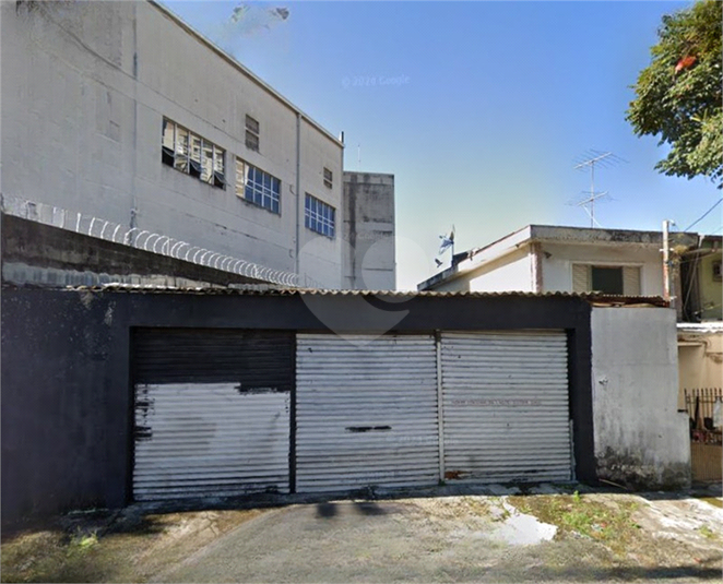 Foto REO1088059
