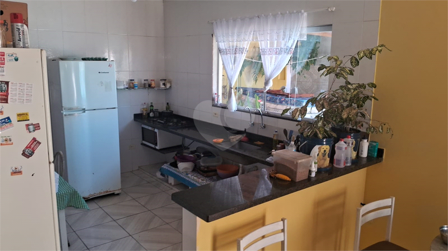 Foto REO1088082