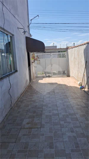Foto REO1088082
