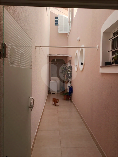 Foto REO1088107