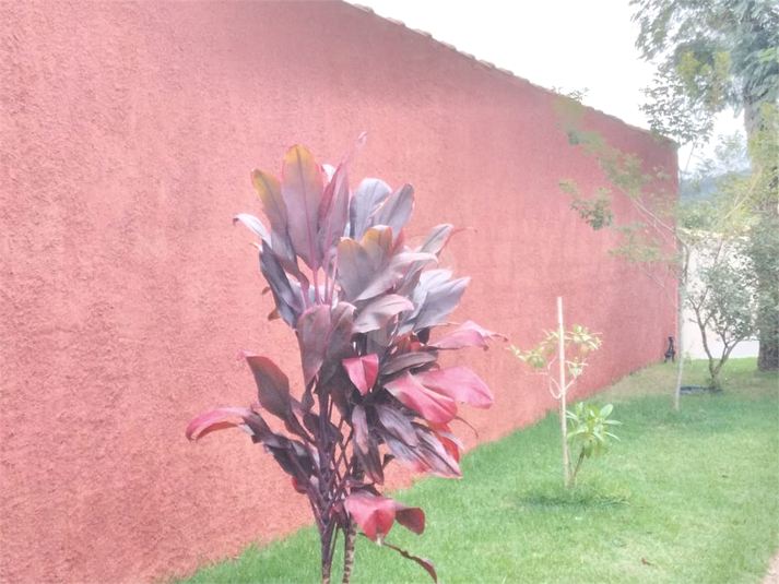 Foto REO1088113