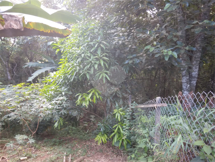 Foto REO1088113