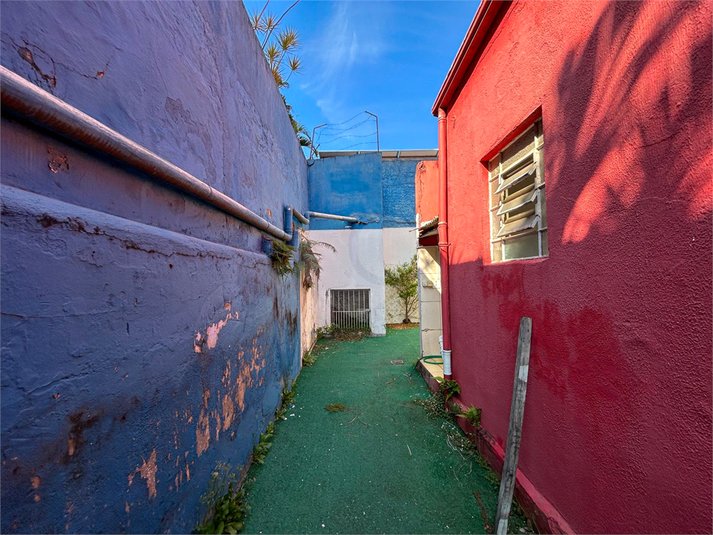 Foto REO1088115
