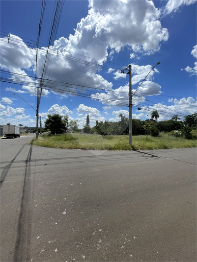 Foto REO1088117