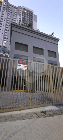 Foto REO1088130
