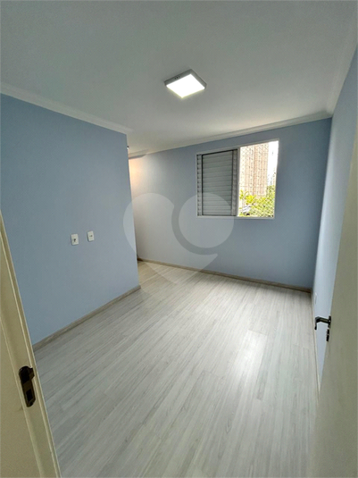 Foto REO1088133