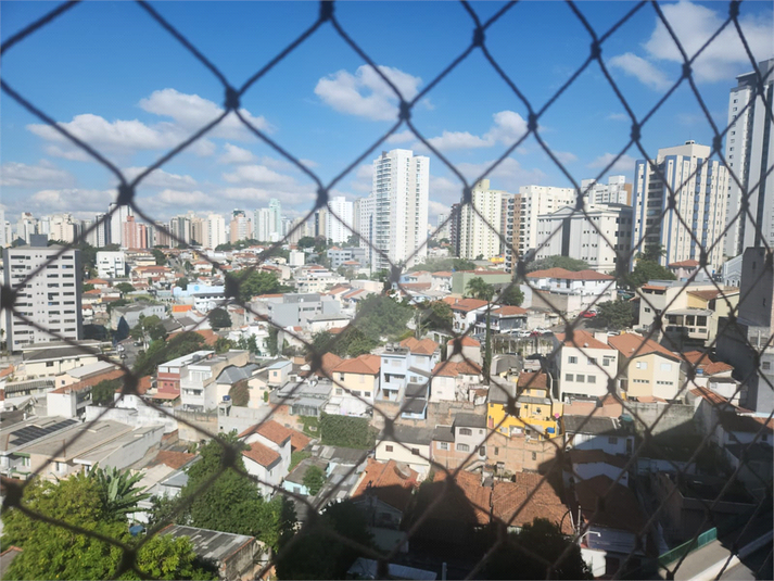 Foto REO1088135