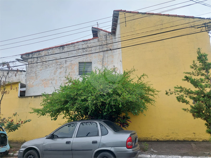 Foto REO1088149