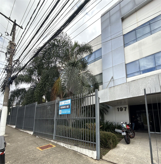 Foto REO1088152
