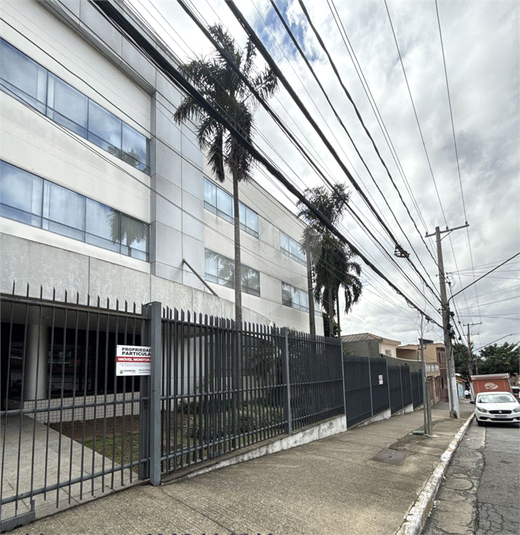 Foto REO1088152