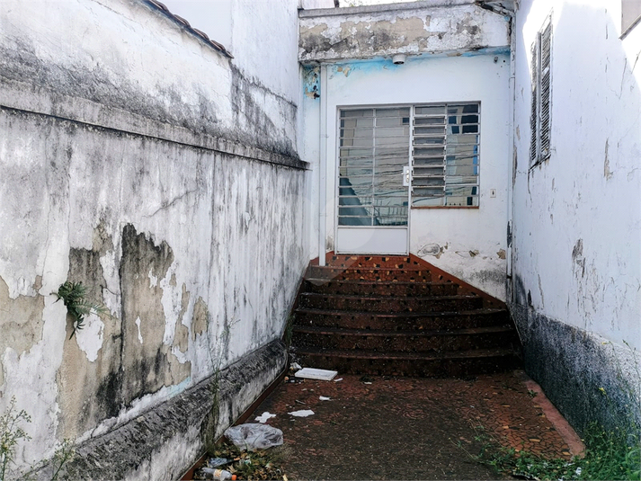 Foto REO1088163
