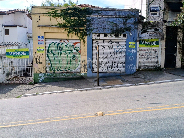 Foto REO1088163