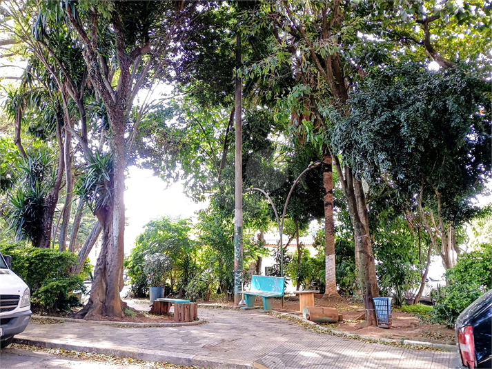 Foto REO1088163