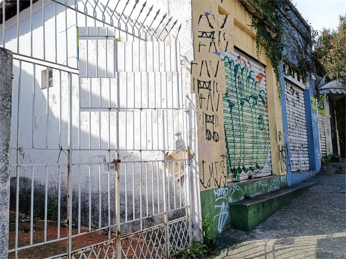 Foto REO1088163