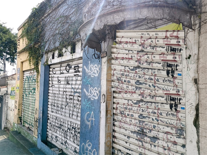 Foto REO1088166