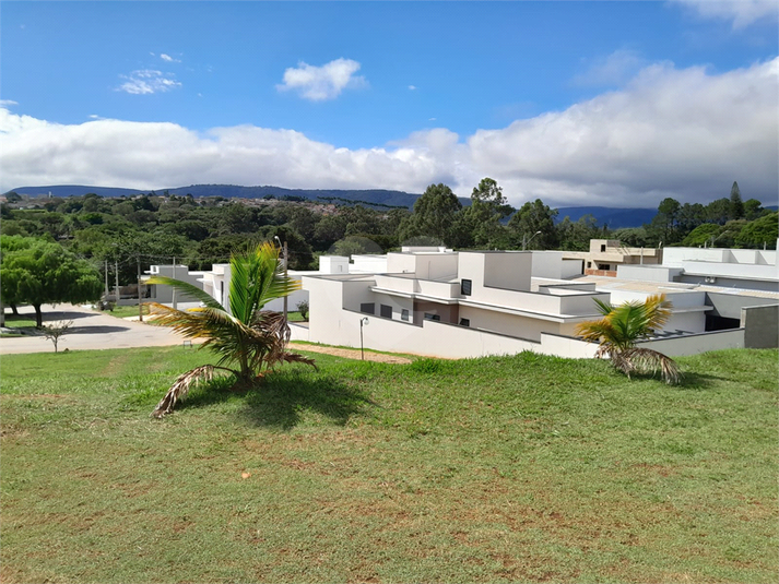 Foto REO1088174