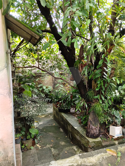 Foto REO1088189