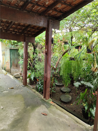 Foto REO1088189