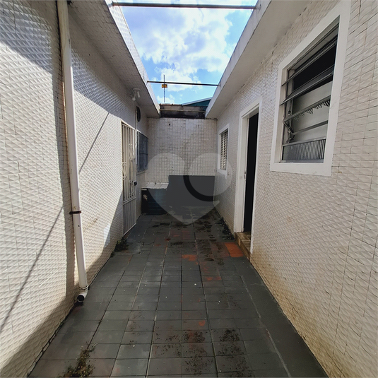 Foto REO1088190