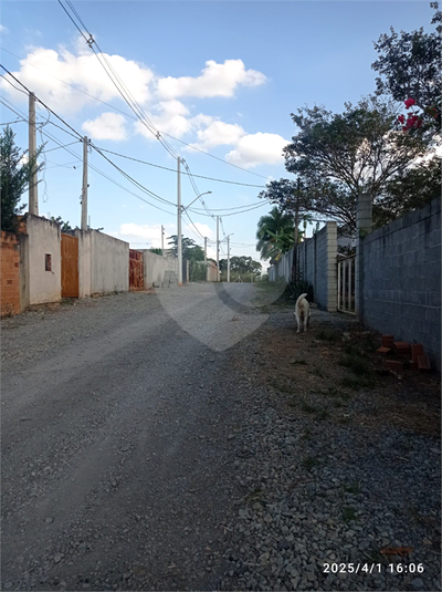 Foto REO1088202