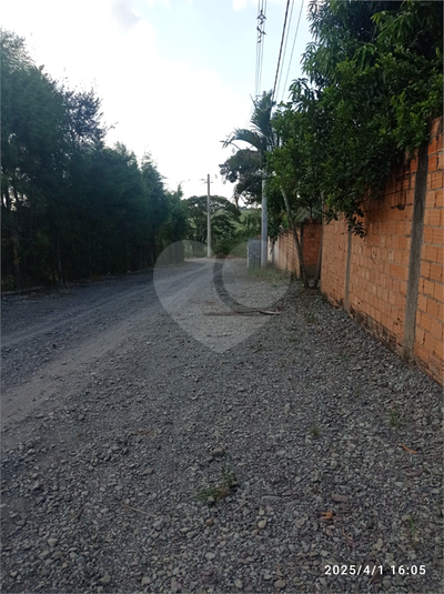 Foto REO1088202