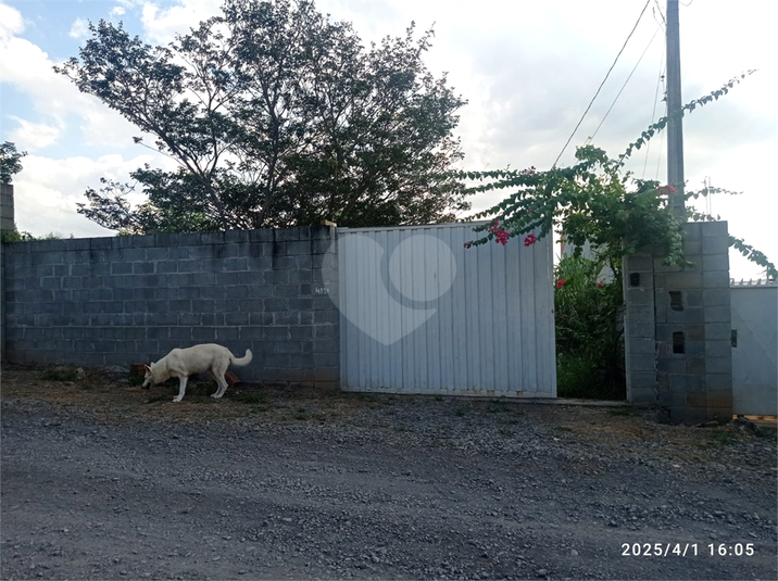 Foto REO1088202