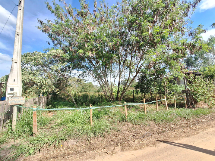 Foto REO1088216