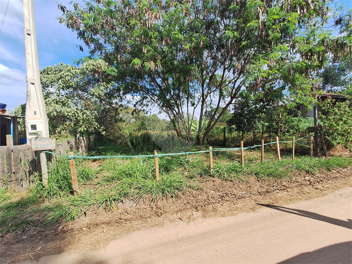 Foto REO1088216
