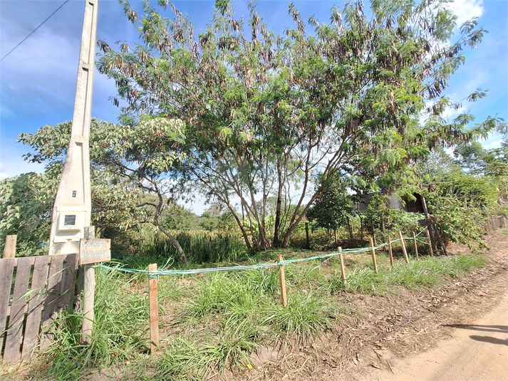 Foto REO1088216